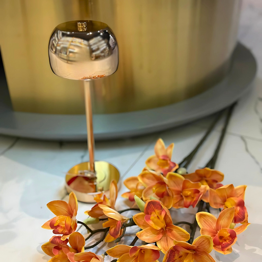 DAISY LED LAMP